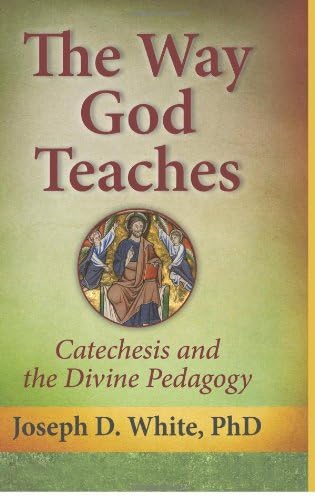 Stock image for The Way God Teaches: Catechesis and the Divine Pedagogy for sale by HPB Inc.