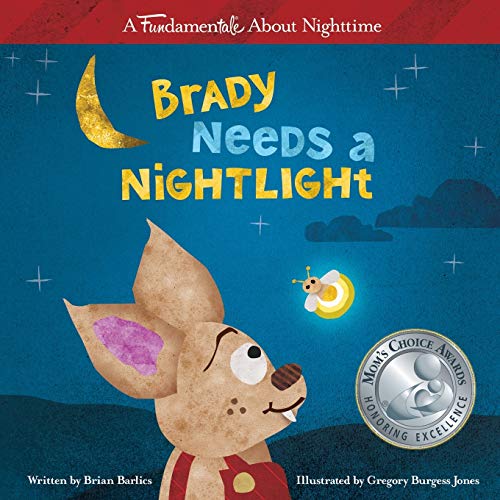 9781612961958: Brady Needs a Nightlight