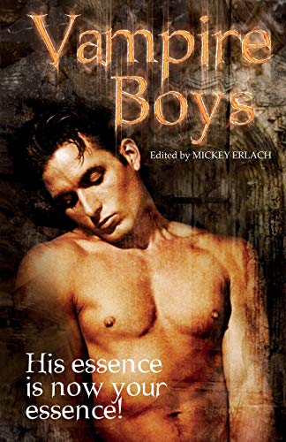 Stock image for Vampire Boys for sale by Lakeside Books