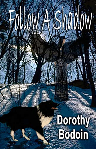 Follow A Shadow (A Foxglove Corners Mystery) (9781613099117) by Bodoin, Dorothy