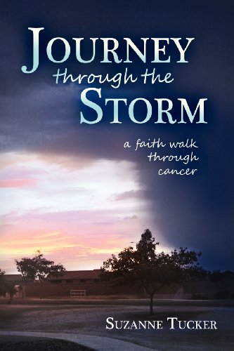 Stock image for Journey Through the Storm for sale by HPB-Red