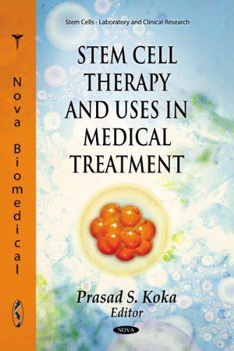 Stem Cell Therapy & Uses in Medical Treatment