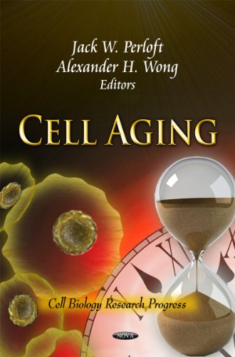 Stock image for Cell Aging (Cell Biology Research Progress) for sale by WorldofBooks