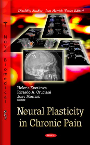 Imagen de archivo de Neural Plasticity in Chronic Pain a la venta por PBShop.store US