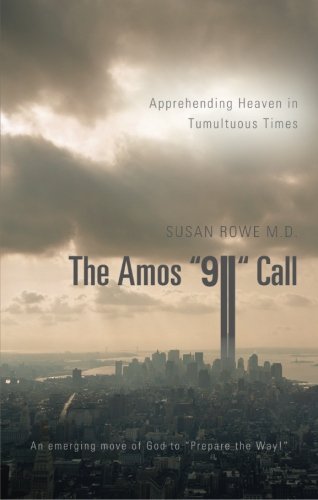 Imagen de archivo de The Amos 911 Call a la venta por Irish Booksellers
