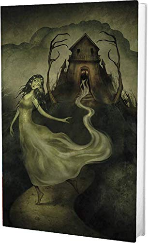 Stock image for The Haunting of Hill House for sale by Daedalus Books