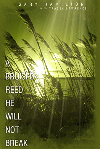Imagen de archivo de A Bruised Reed He Will Not Break a la venta por Goodwill of Colorado