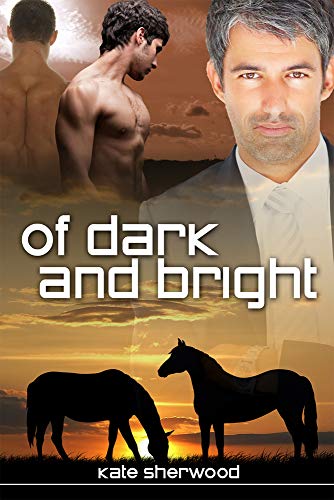 9781613724316: Of Dark and Bright (3) (Dark Horse Series)