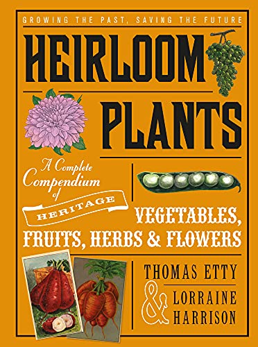 Imagen de archivo de Heirloom Plants: A Complete Compendium of Heritage Vegetables, Fruits, Herbs Flowers a la venta por Book Outpost