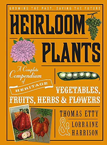 Stock image for Heirloom Plants : A Complete Compendium of Heritage Vegetables, Fruits, Herbs and Flowers for sale by Better World Books