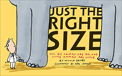9781613830512: Just the Right Size: Why Big Animals Arebig and Lile Animals Are Little