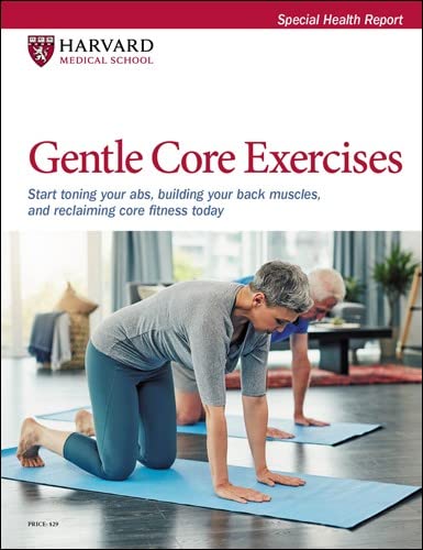 Imagen de archivo de Gentle Core Exercises: Start toning your abs, building your back muscles, and reclaiming core fitness today a la venta por Book Deals