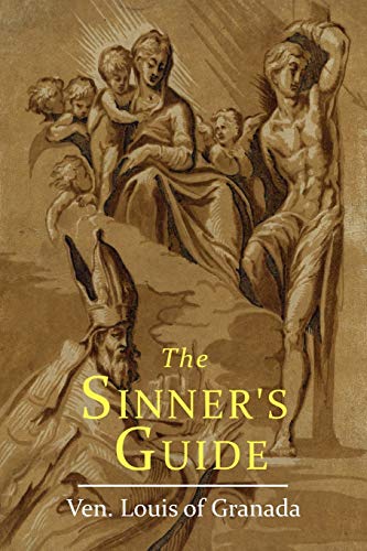 Beispielbild fr The Sinner's Guide zum Verkauf von Better World Books