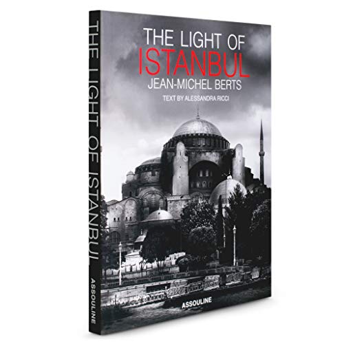 Stock image for The Light of Istanbul (City Lights) for sale by Holt Art Books