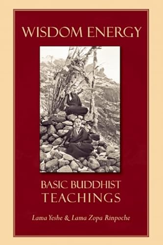 Imagen de archivo de Wisdom Energy: Basic Buddhist Teachings a la venta por Goodwill San Antonio