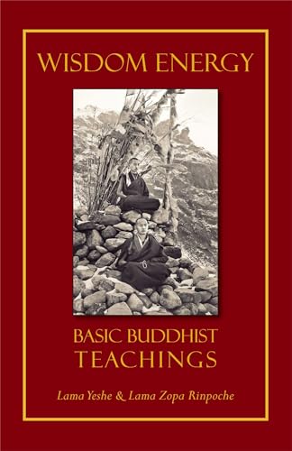 Stock image for Wisdom Energy: Basic Buddhist Teachings for sale by ThriftBooks-Atlanta