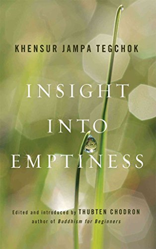 9781614290131: Insight into Emptiness