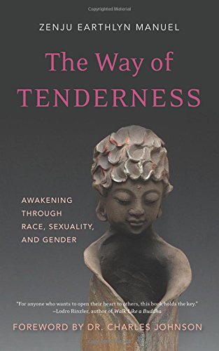 9781614291251: The Way of Tenderness: Awakening through Race, Sexuality, and Gender