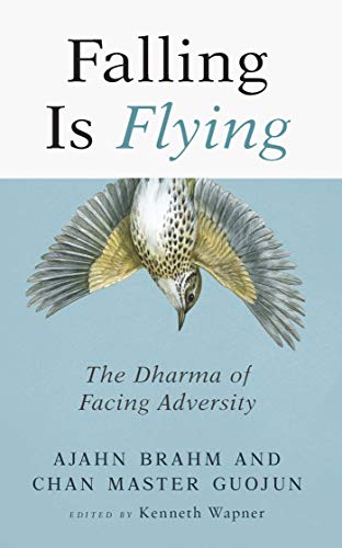 Stock image for Falling Is Flying, 1: The Dharma of Facing Adversity for sale by ThriftBooks-Dallas