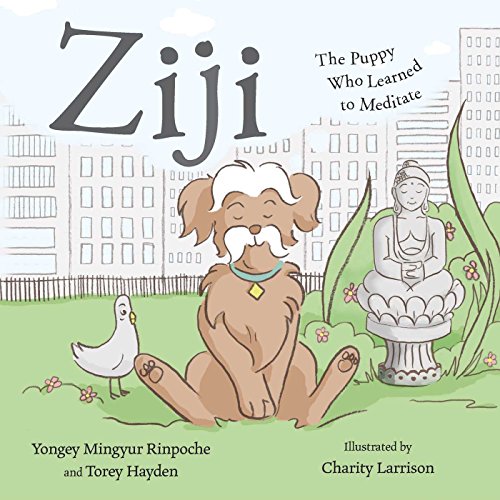 Stock image for Ziji: The Puppy Who Learned to Meditate for sale by ThriftBooks-Dallas
