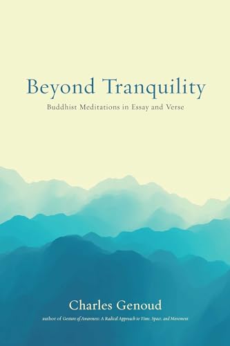 Beispielbild fr Beyond Tranquility: Buddhist Meditations in Essay and Verse zum Verkauf von -OnTimeBooks-