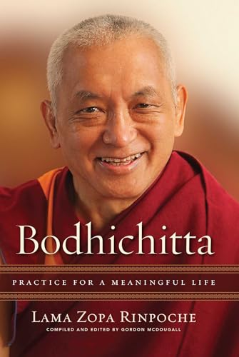 Beispielbild fr Bodhichitta : Practice for a Meaningful Life zum Verkauf von Better World Books