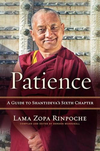 Beispielbild fr Patience: A Guide to Shantideva's Sixth Chapter zum Verkauf von Monster Bookshop