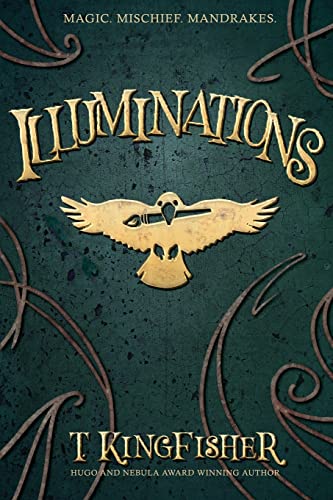 Beispielbild fr Illuminations zum Verkauf von Dream Books Co.