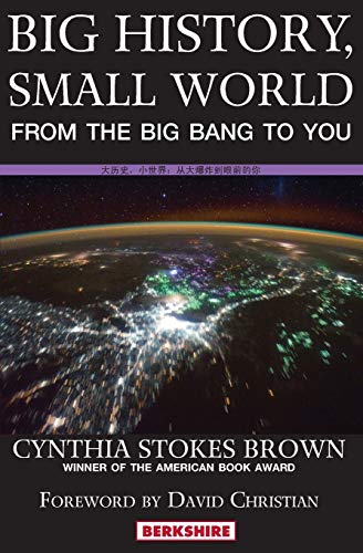 9781614720317: Big History, Small World: From the Big Bang to You