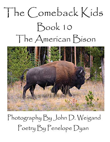 Beispielbild fr The Comeback Kids--Book 10--The American Bison zum Verkauf von AwesomeBooks