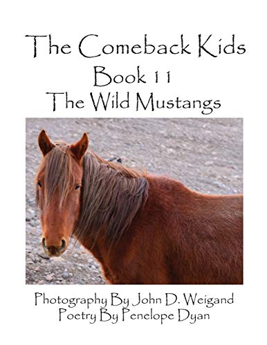 Beispielbild fr The Comeback Kids--Book 11--The Wild Mustangs zum Verkauf von Chiron Media