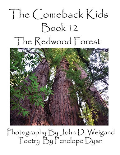 Beispielbild fr The Comeback Kids, Book 12, the Redwood Forest zum Verkauf von Chiron Media