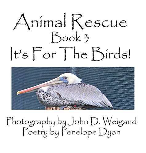 9781614772217: Animal Rescue, Book 3, It's for the Birds!