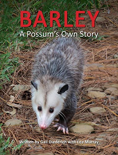 Beispielbild fr Barley, A Possum's Own Story zum Verkauf von Better World Books