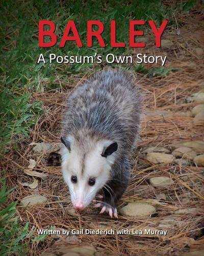 Stock image for Barley, a Possum's Own Story for sale by Russell Books