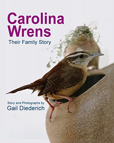 Beispielbild fr Carolina Wrens: Their Family Story zum Verkauf von WorldofBooks