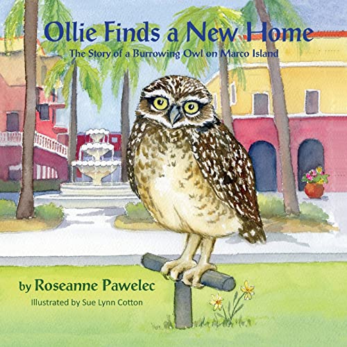 Beispielbild fr Ollie Finds a New Home, The Story of a Burrowing Owl on Marco Island zum Verkauf von Books From California