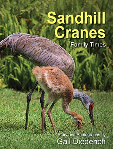 9781614934554: Sandhill Cranes, Family Times