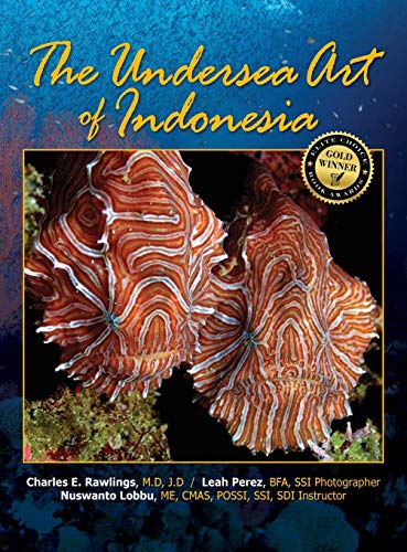 Stock image for The Undersea Art of Indonesia for sale by PlumCircle