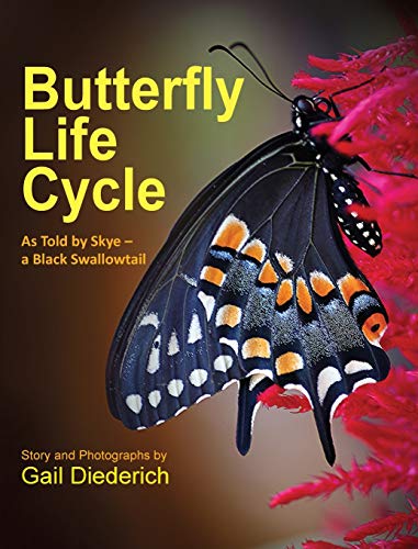 Beispielbild fr Butterfly Life Cycle: As Told by Skye - a Black Swallowtail zum Verkauf von Books From California