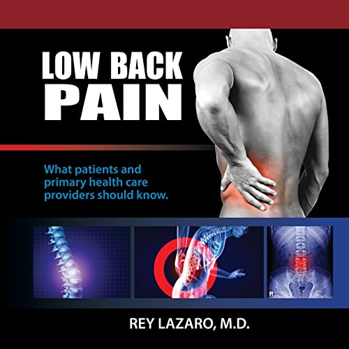 Stock image for Low Back Pain, What patients and primary care health care providers should know for sale by PBShop.store US