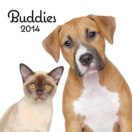 9781614940807: 2014 Buddies Wall Calendar
