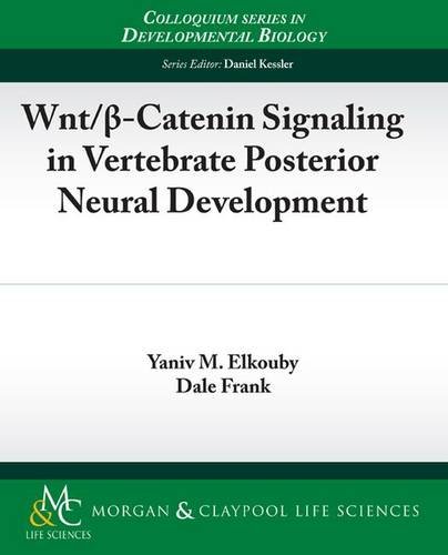9781615040544: Wnt/ -Catenin Signaling in Vertebrate Posterior Neural Development (Colloquium Series on Developmental Biology)