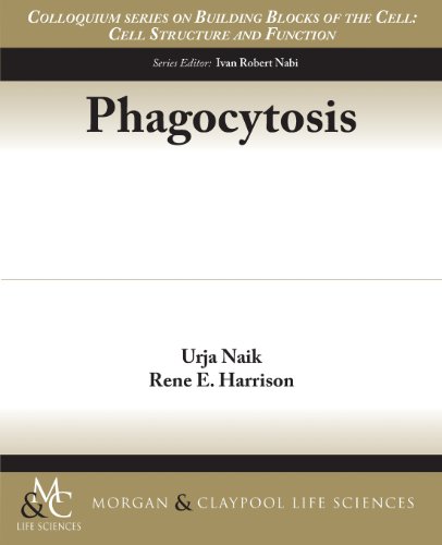 9781615044122: Phagocytosis (Colloquium Series on Building Blocks of the Cell: Cell Structure and Function)