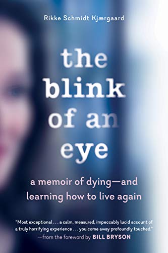 Imagen de archivo de The Blink of an Eye : A Memoir of Dying--And Learning How to Live Again a la venta por Better World Books: West
