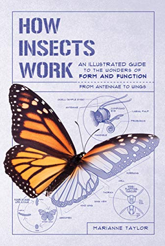 Stock image for How Insects Work: An Illustrated Guide to the Wonders of Form and Function - From Antennae to Wings for sale by ThriftBooks-Atlanta