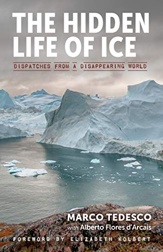 Beispielbild fr The Hidden Life of Ice: Dispatches from a Disappearing World zum Verkauf von Roundabout Books