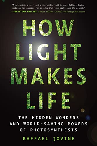 Beispielbild fr How Light Makes Life: The Hidden Wonders & World-Saving Powers of Photosynthesis zum Verkauf von Powell's Bookstores Chicago, ABAA