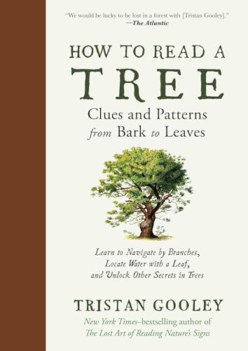 Imagen de archivo de How to Read a Tree a la venta por Blackwell's
