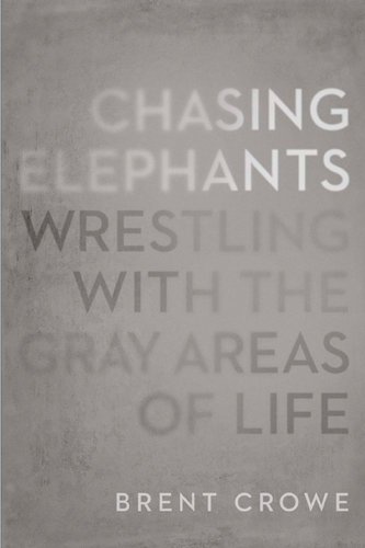 Stock image for Chasing Elephants: Wrestling with the Gray Areas of Life for sale by SecondSale